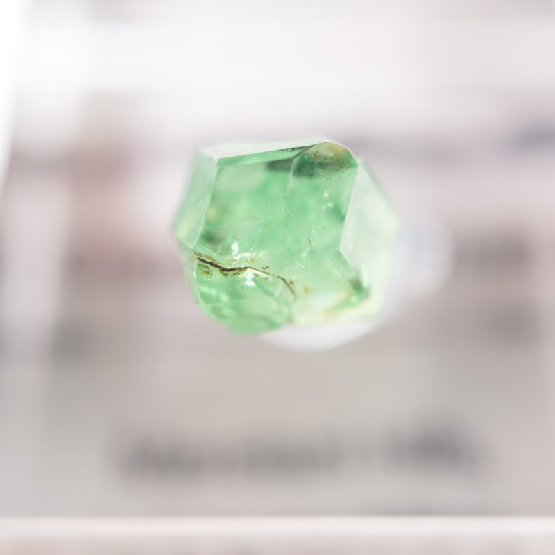 ����˥ҥ륺�� ��������顼�����ͥå�