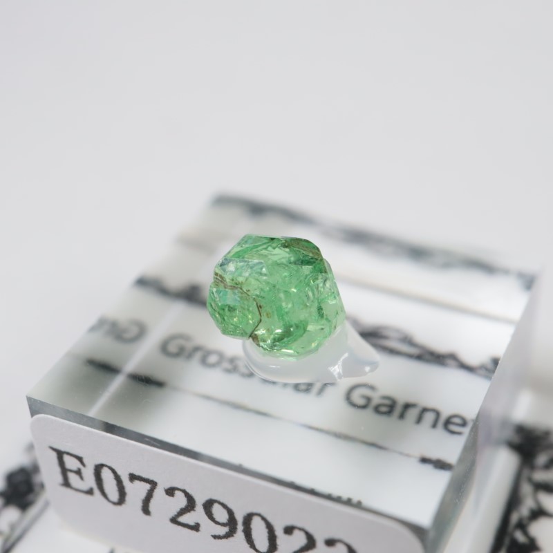 ����˥ҥ륺�� ��������顼�����ͥå�