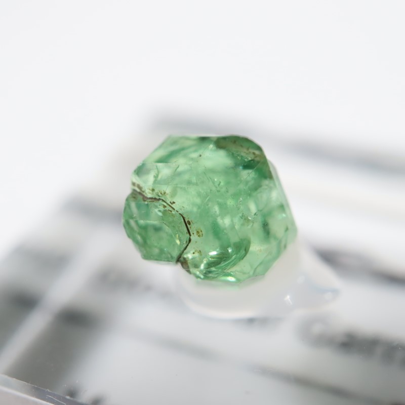 ����˥ҥ륺�� ��������顼�����ͥå�