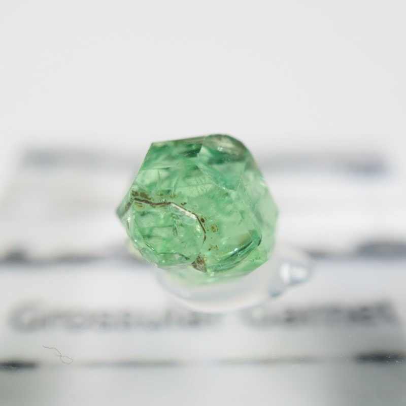 ����˥ҥ륺�� ��������顼�����ͥå�