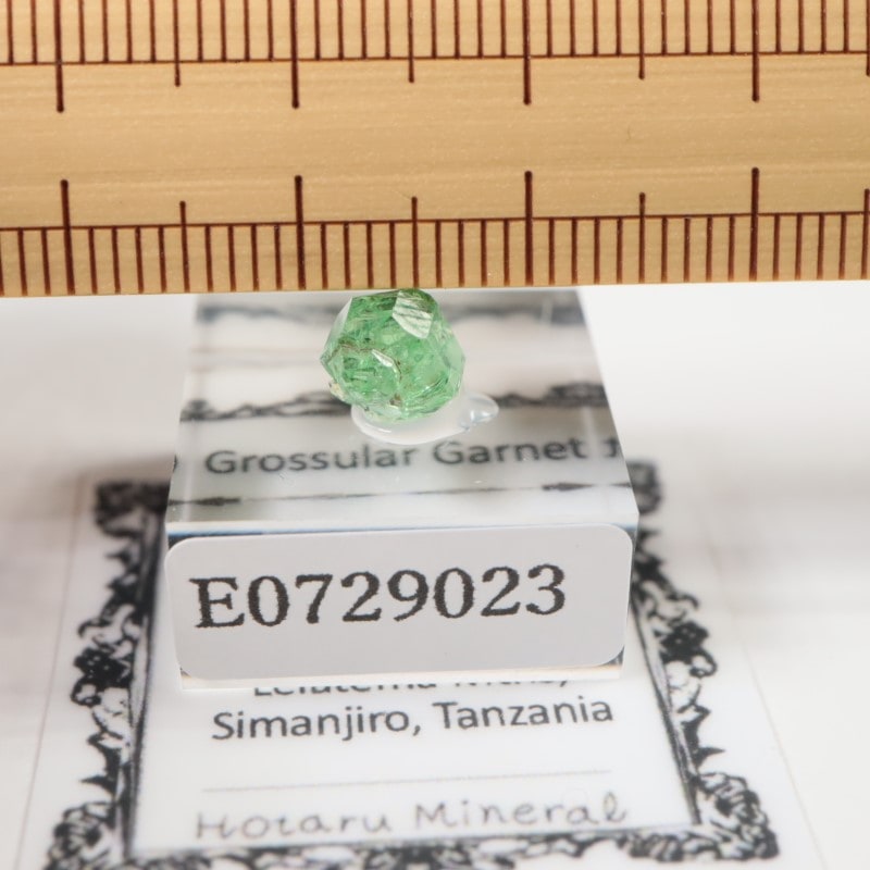 ����˥ҥ륺�� ��������顼�����ͥå�