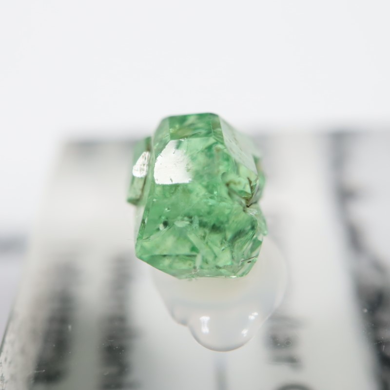 ����˥ҥ륺�� ��������顼�����ͥå�