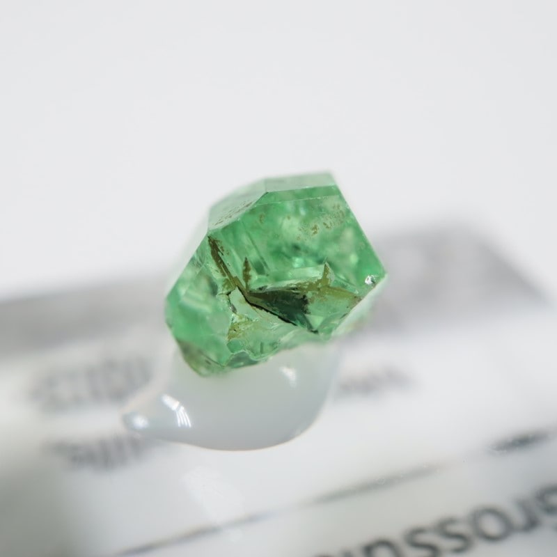 ����˥ҥ륺�� ��������顼�����ͥå�