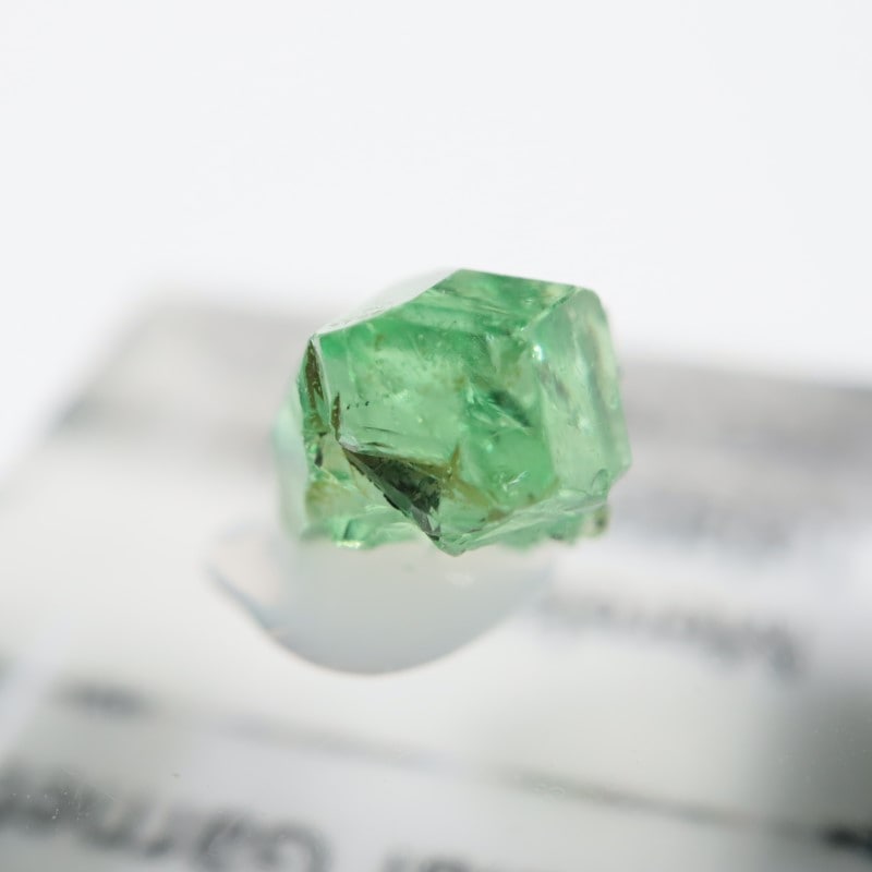 ����˥ҥ륺�� ��������顼�����ͥå�