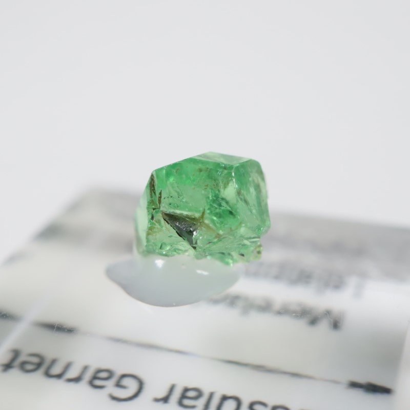 ����˥ҥ륺�� ��������顼�����ͥå�