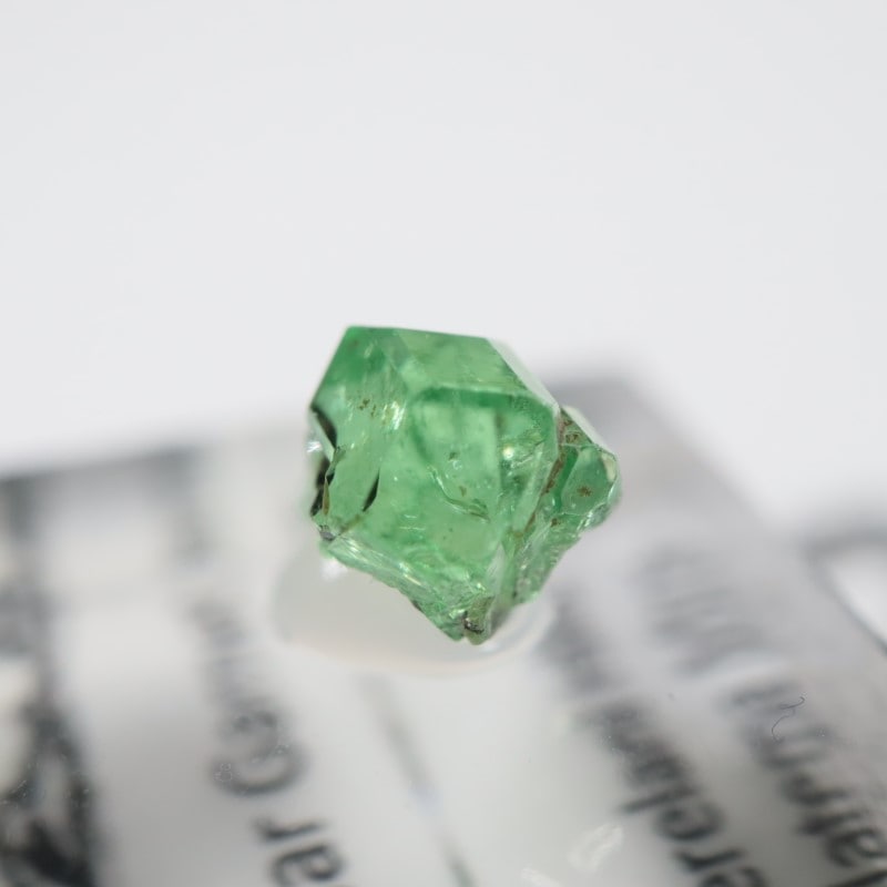 ����˥ҥ륺�� ��������顼�����ͥå�