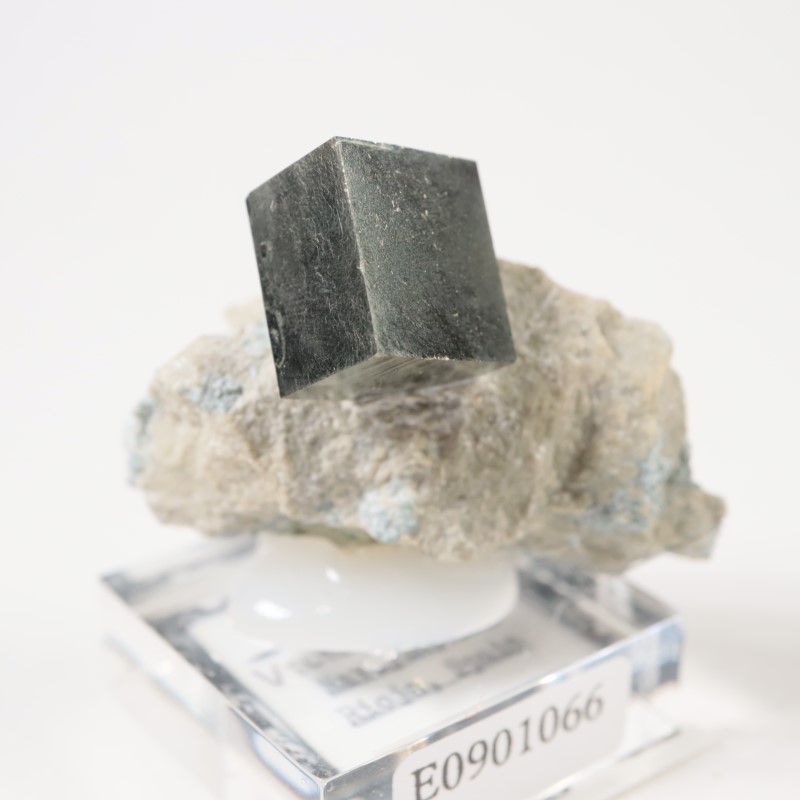 スペイン産 パイライト | 鉱物標本,ハ行,パイライト/黄鉄鉱 | ほたるみ