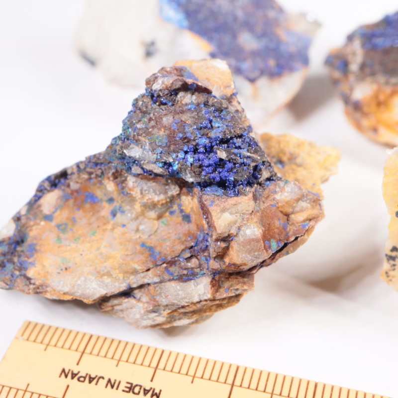 ����å��������饤�ȭ�/���٤ޤ���