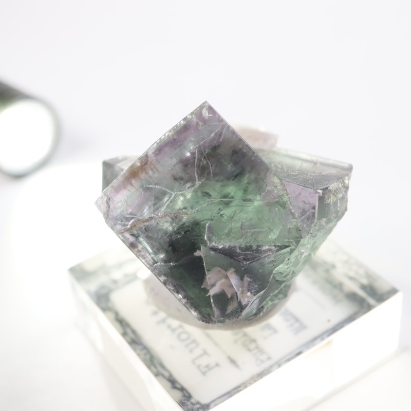 Purple Rain Pocket ե饤