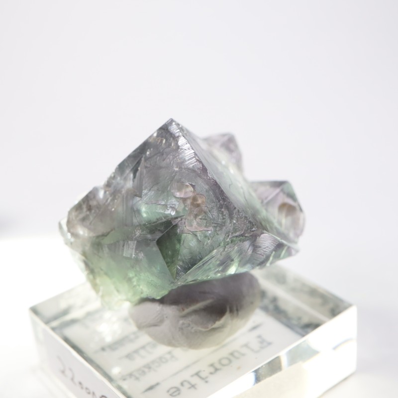 Purple Rain Pocket ե饤