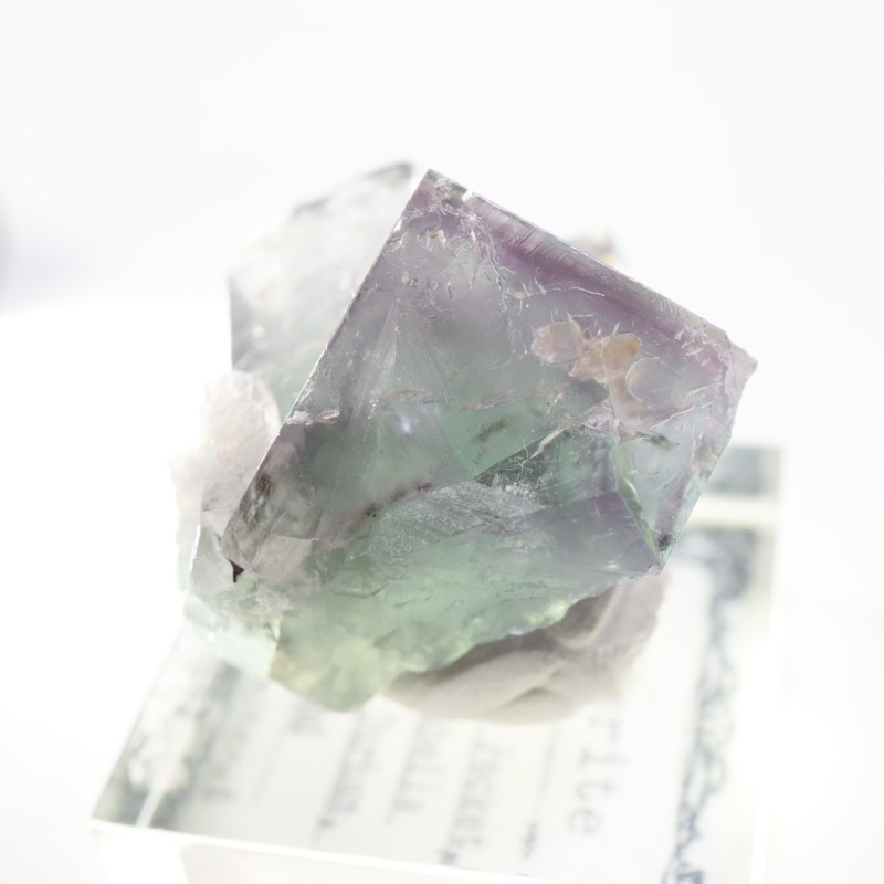 Purple Rain Pocket ե饤