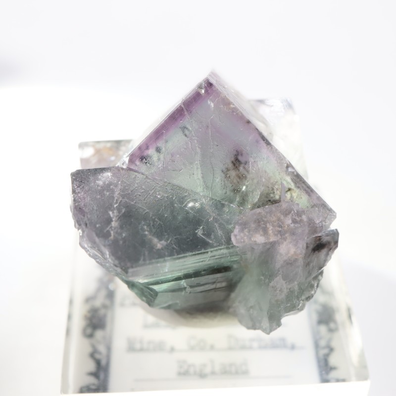 Purple Rain Pocket ե饤