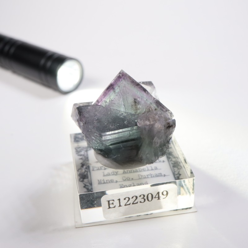 Purple Rain Pocket ե饤