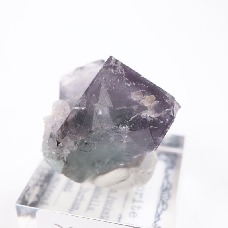 Purple Rain Pocket ե饤