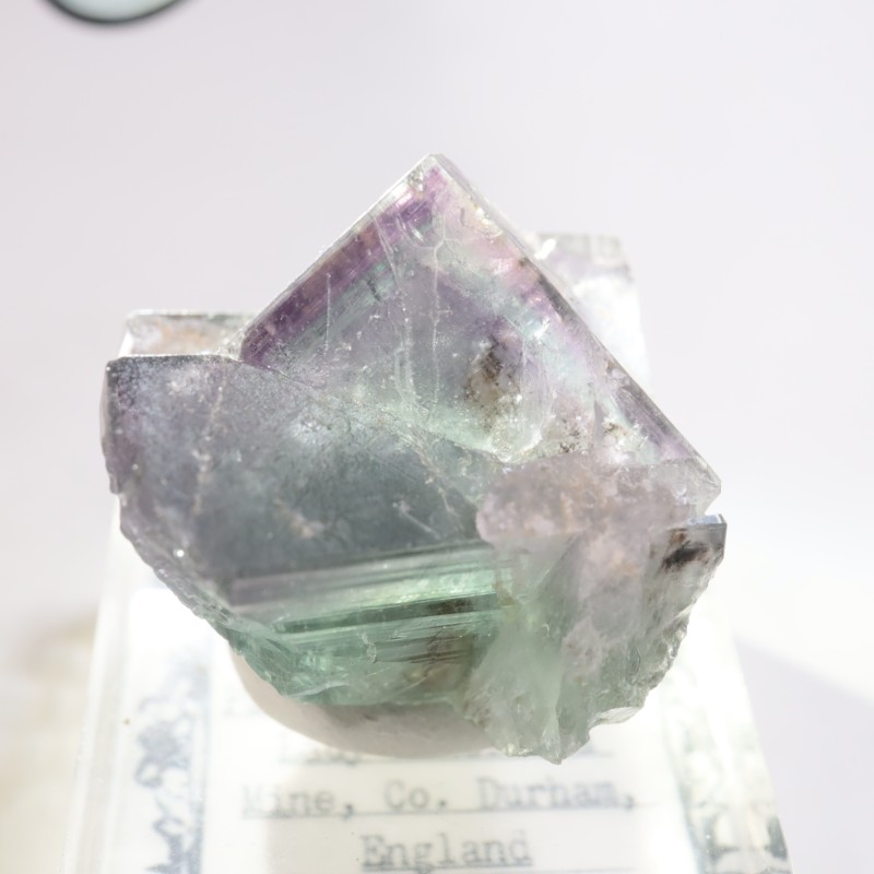 Purple Rain Pocket ե饤