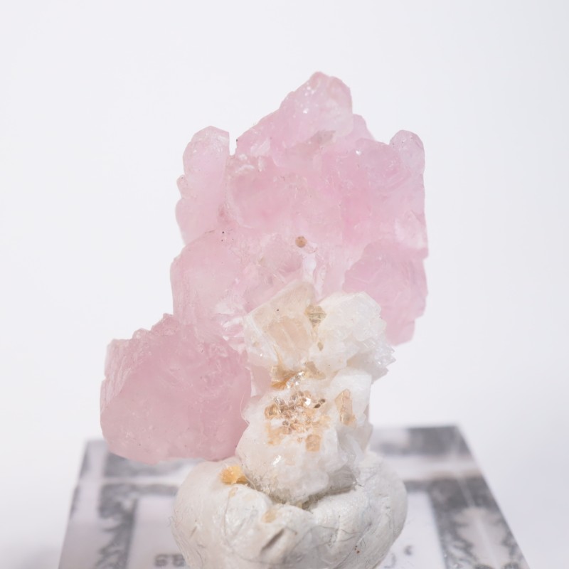 �֥饸�뻺����������������