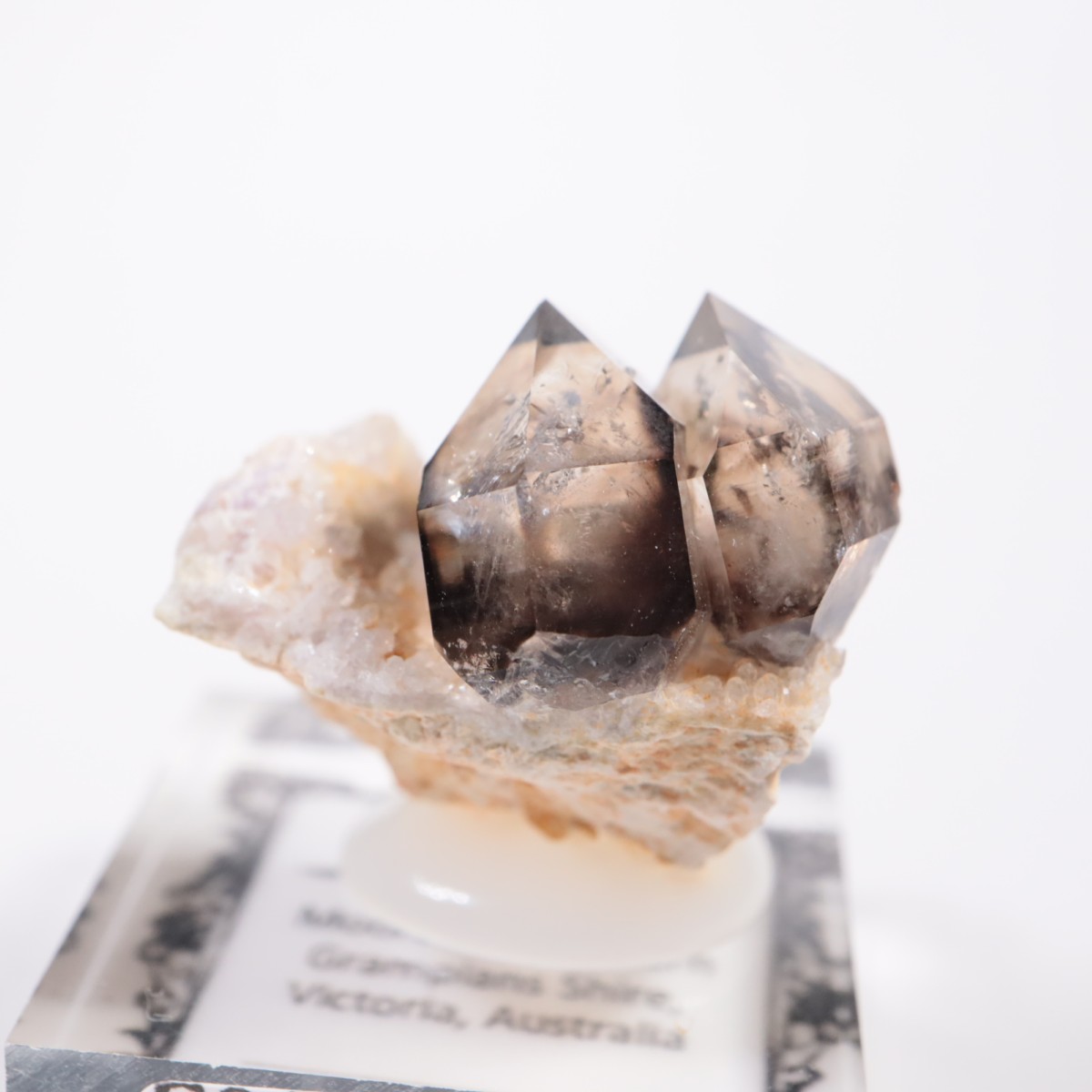 �������ȥ�ꥢ�� ����徽