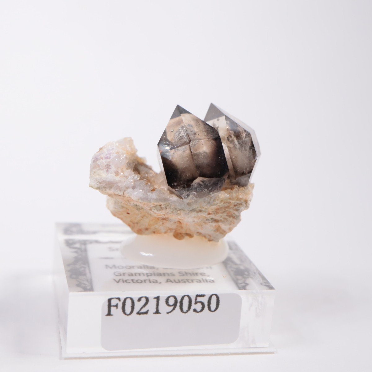 �������ȥ�ꥢ�� ����徽