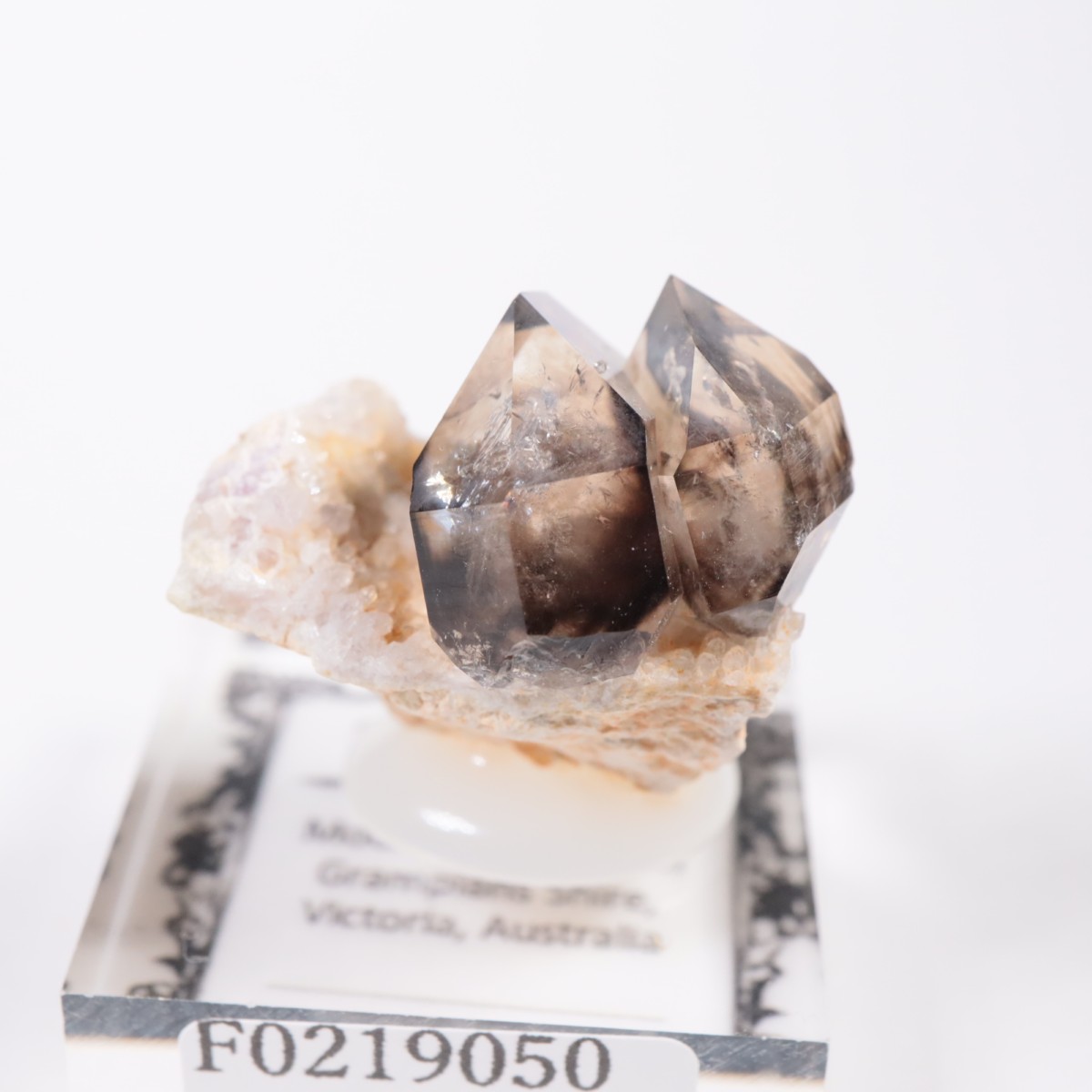 �������ȥ�ꥢ�� ����徽