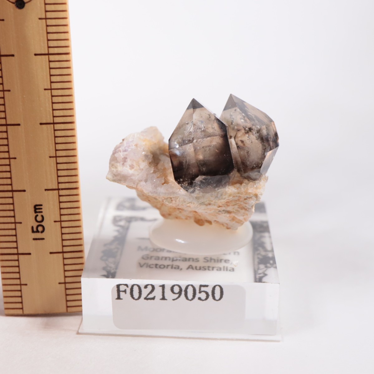 �������ȥ�ꥢ�� ����徽