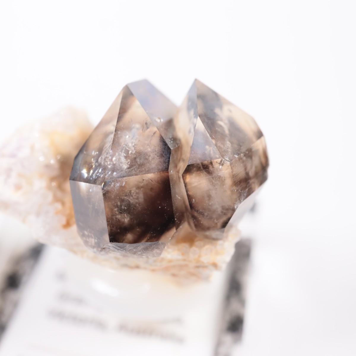 �������ȥ�ꥢ�� ����徽