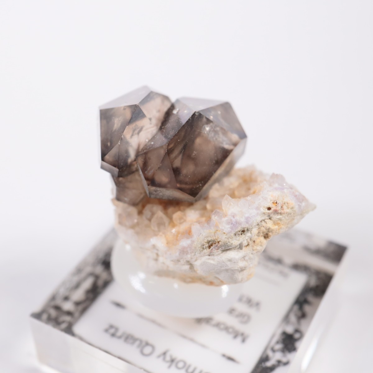 �������ȥ�ꥢ�� ����徽