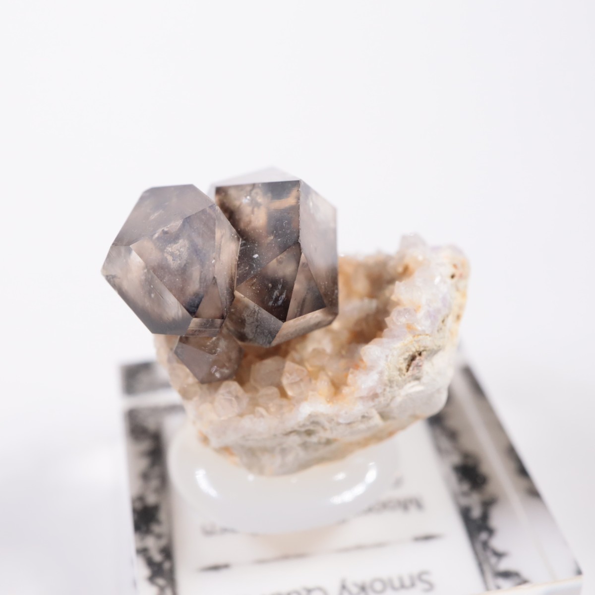 �������ȥ�ꥢ�� ����徽