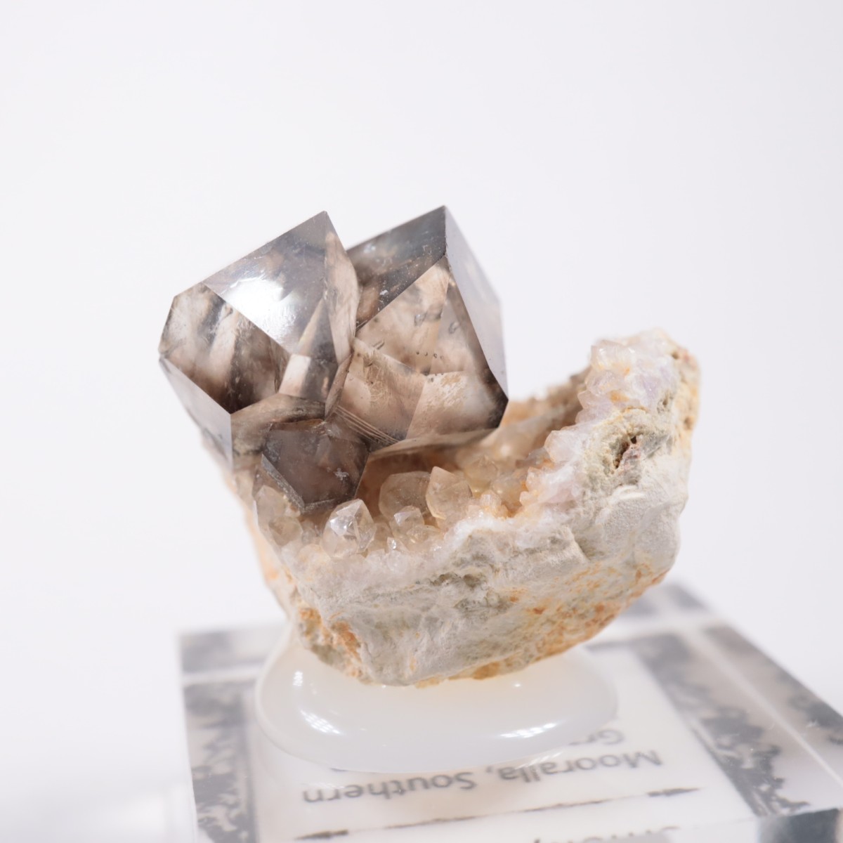 �������ȥ�ꥢ�� ����徽