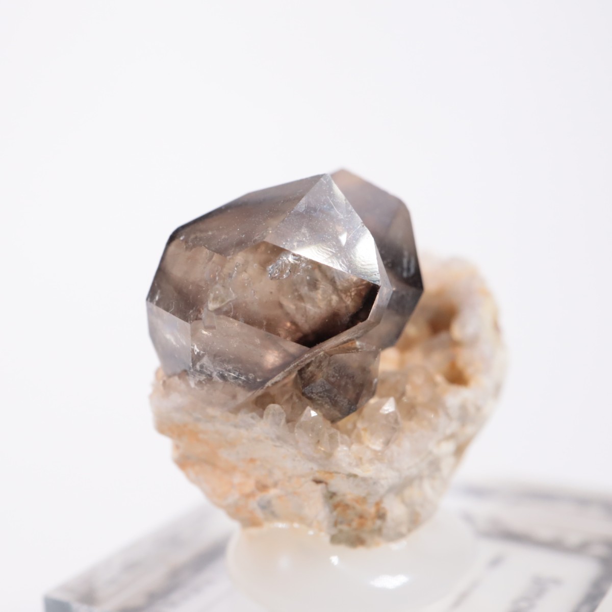 �������ȥ�ꥢ�� ����徽