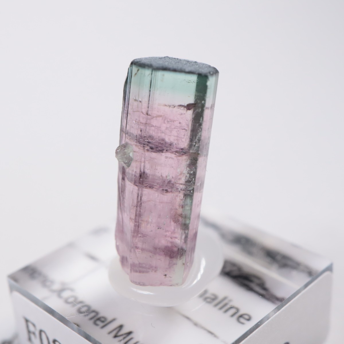 Coronel Murta�� �ȥ�ޥ��