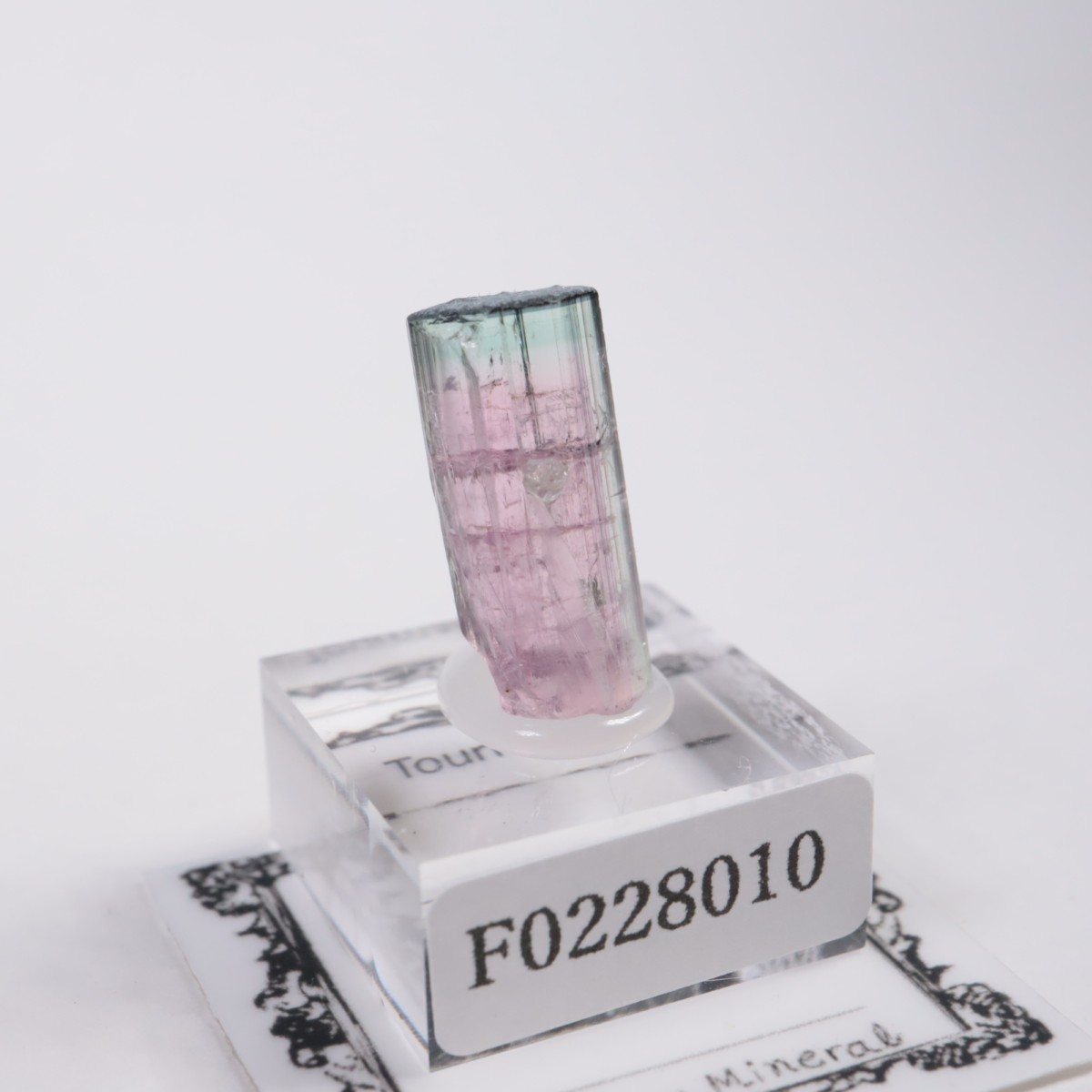 Coronel Murta�� �ȥ�ޥ��