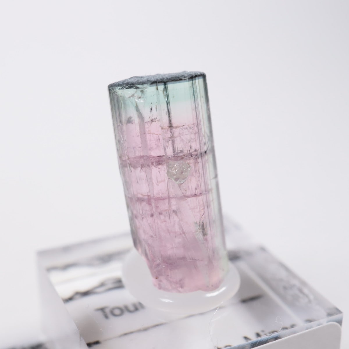 Coronel Murta�� �ȥ�ޥ��