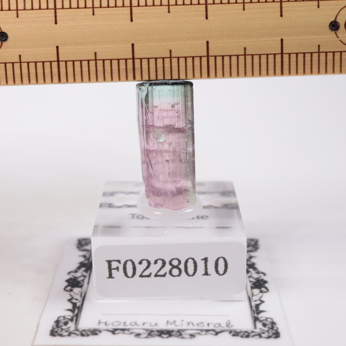 Coronel Murta�� �ȥ�ޥ��