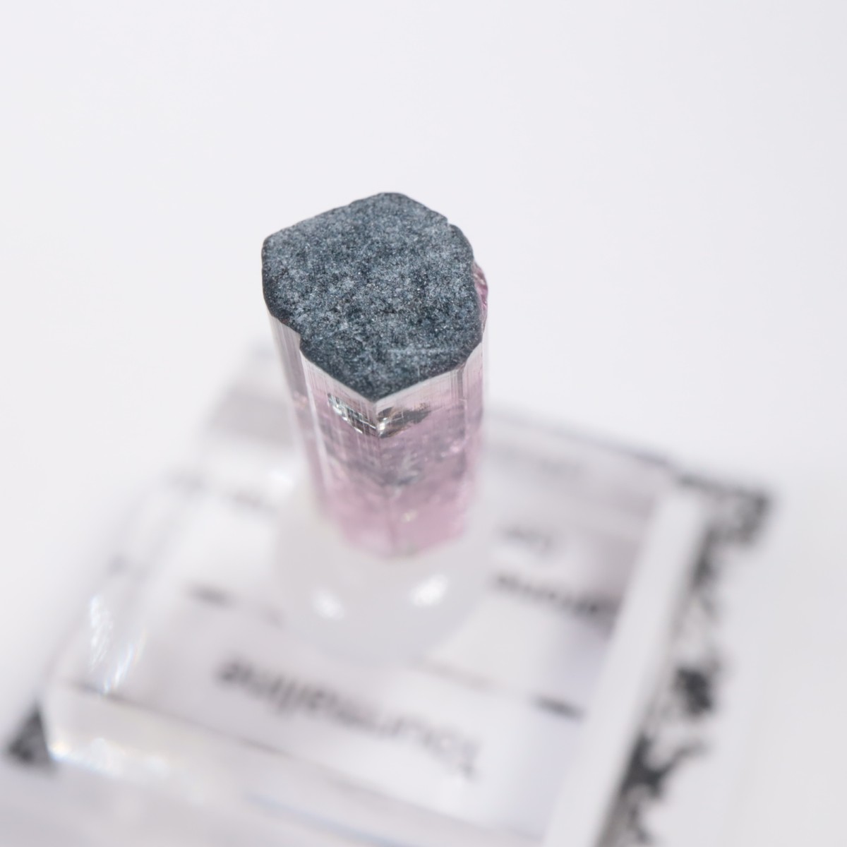 Coronel Murta�� �ȥ�ޥ��