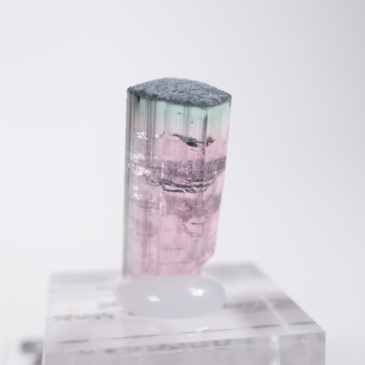 Coronel Murta�� �ȥ�ޥ��