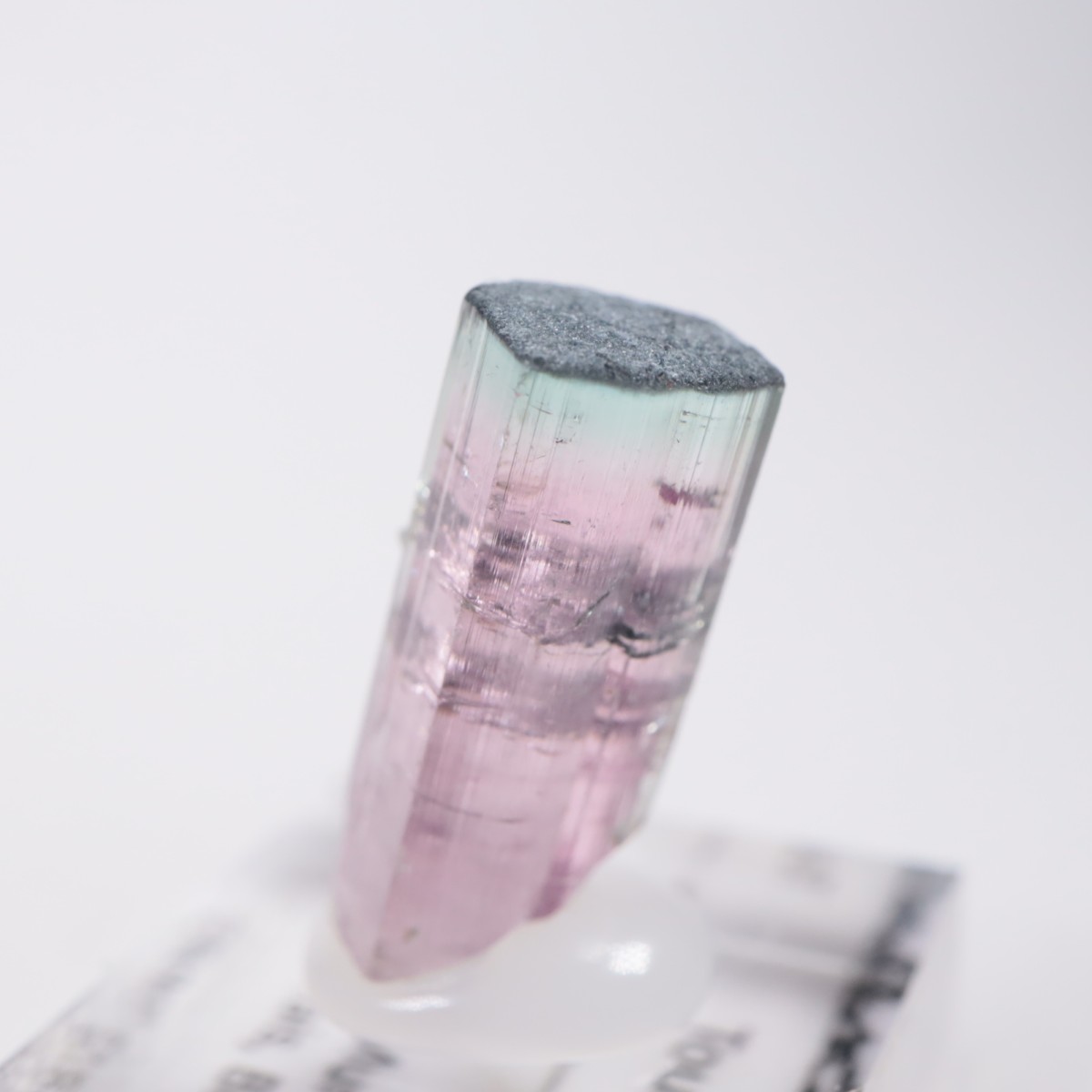 Coronel Murta�� �ȥ�ޥ��