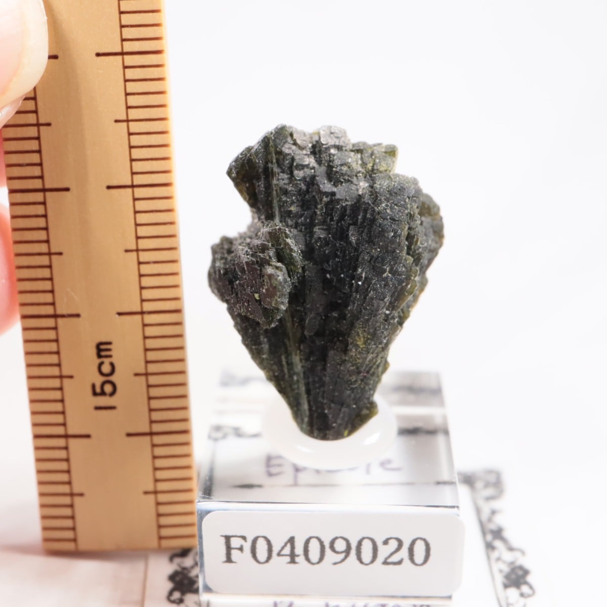 �ѥ������� ���ԥɡ���