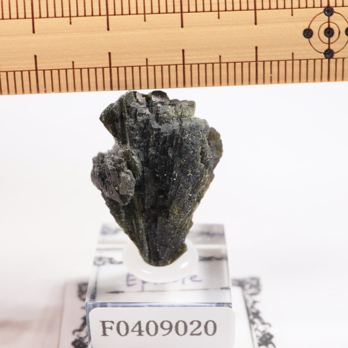 �ѥ������� ���ԥɡ���