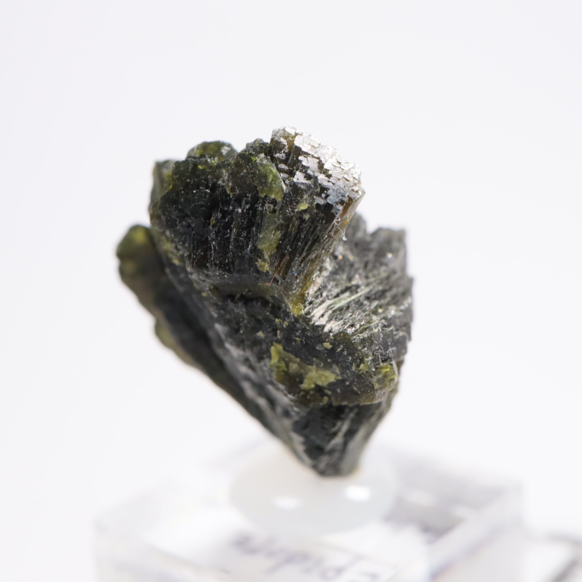 �ѥ������� ���ԥɡ���