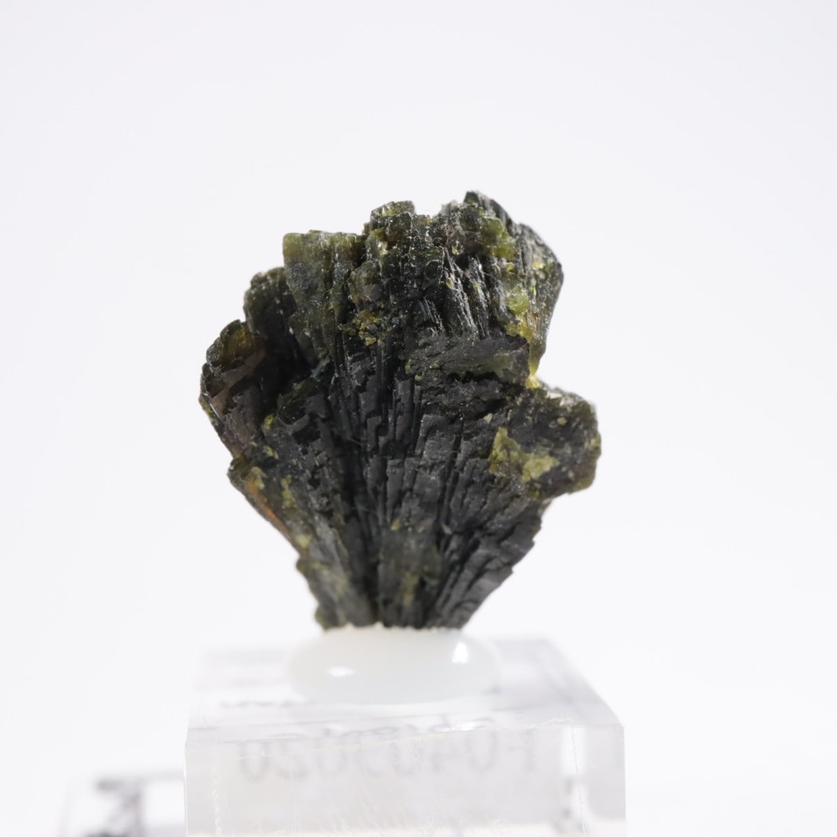 �ѥ������� ���ԥɡ���