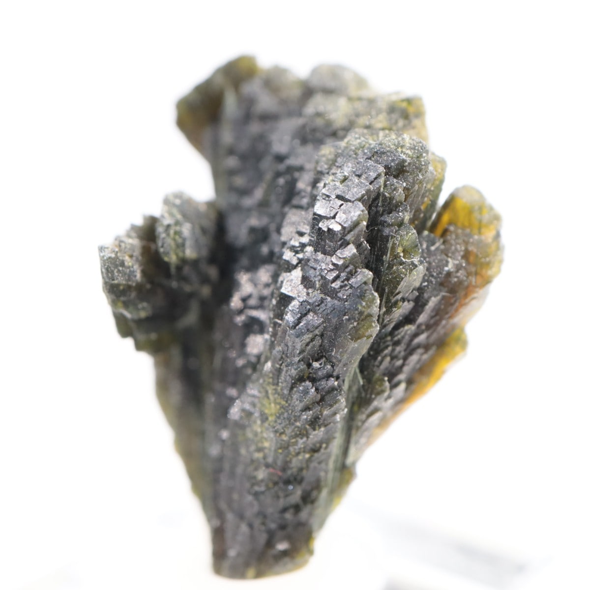 �ѥ������� ���ԥɡ���