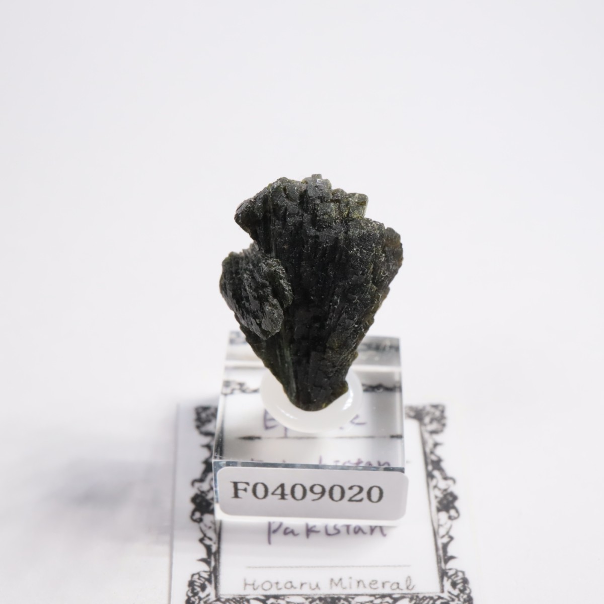 �ѥ������� ���ԥɡ���