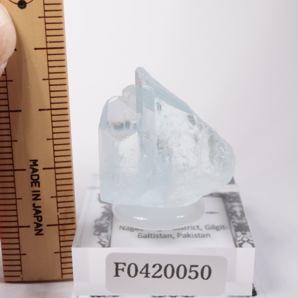 �ѥ������� �������ޥ��