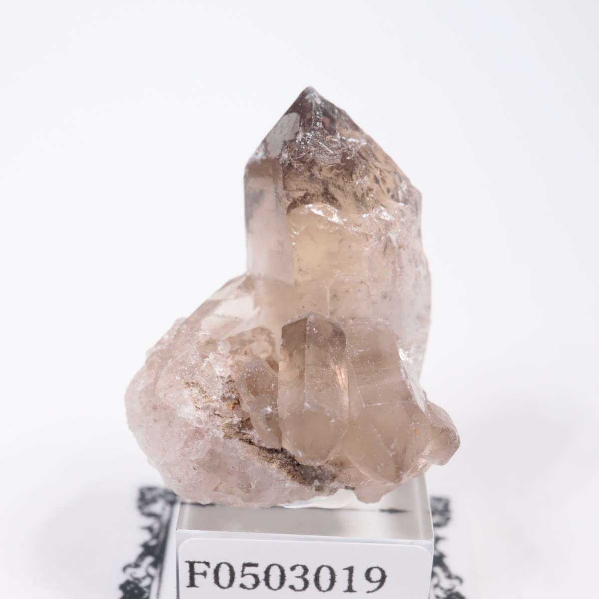 ブラジル産 スモーキークォーツ | 鉱物標本,カ行,クォーツ/水晶