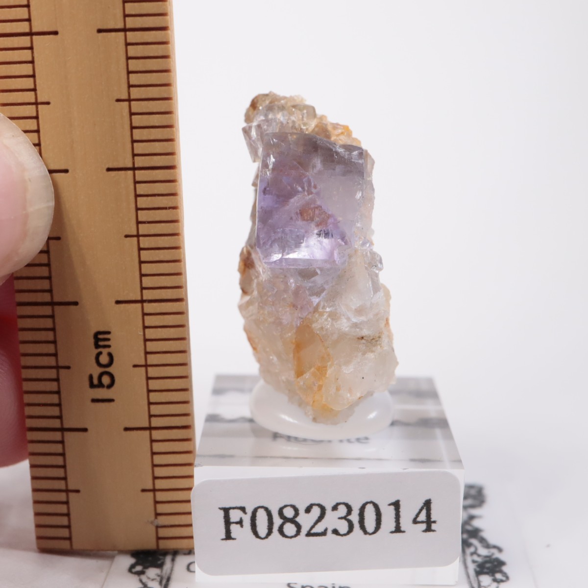 ���ڥ��� �ե����饤��