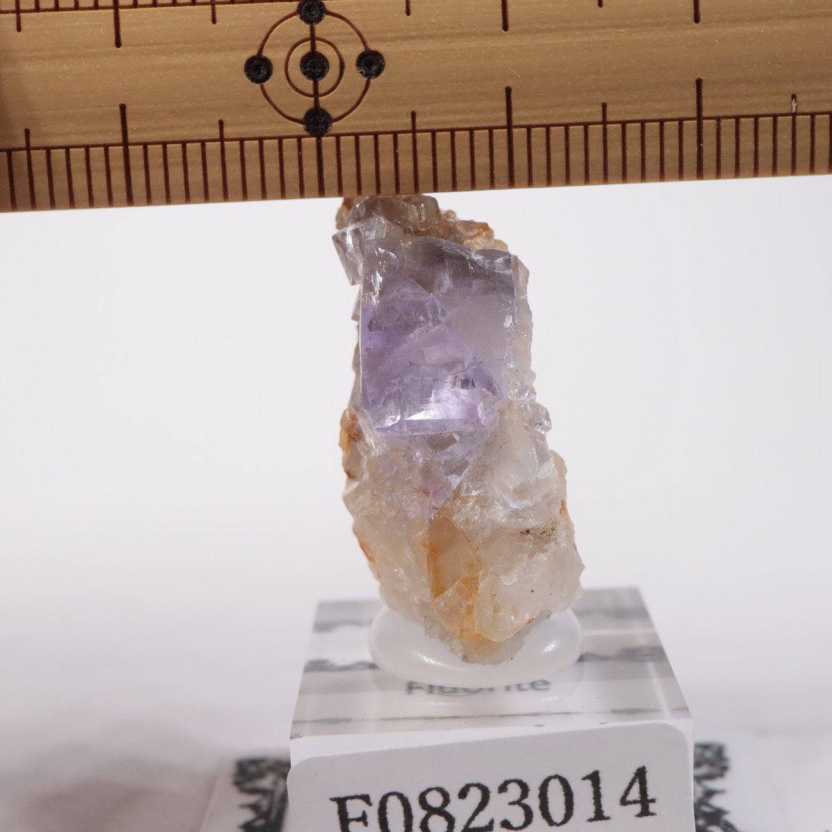 ���ڥ��� �ե����饤��