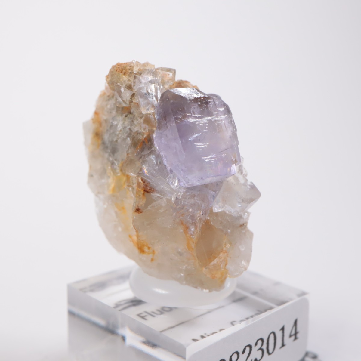 ���ڥ��� �ե����饤��