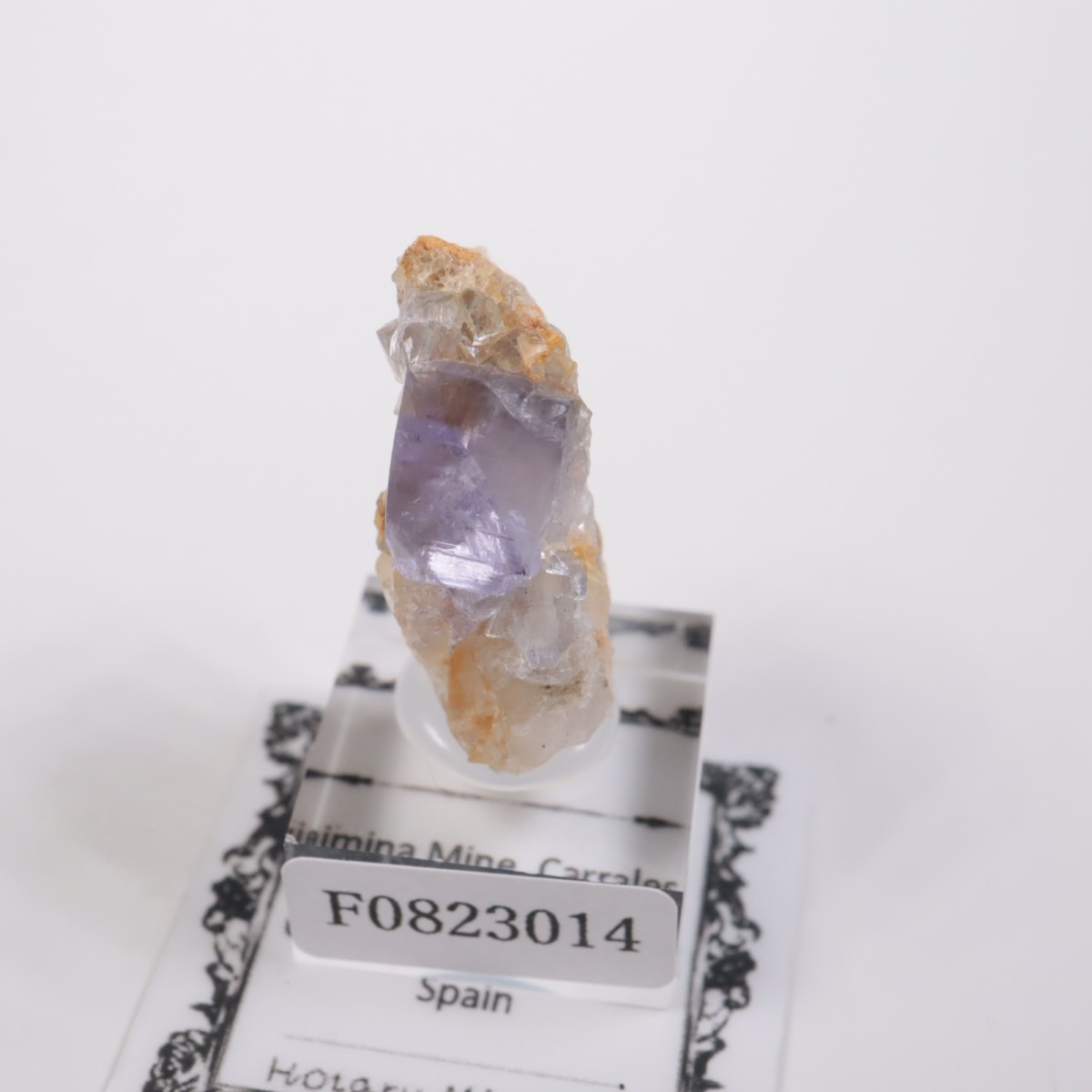 ���ڥ��� �ե����饤��