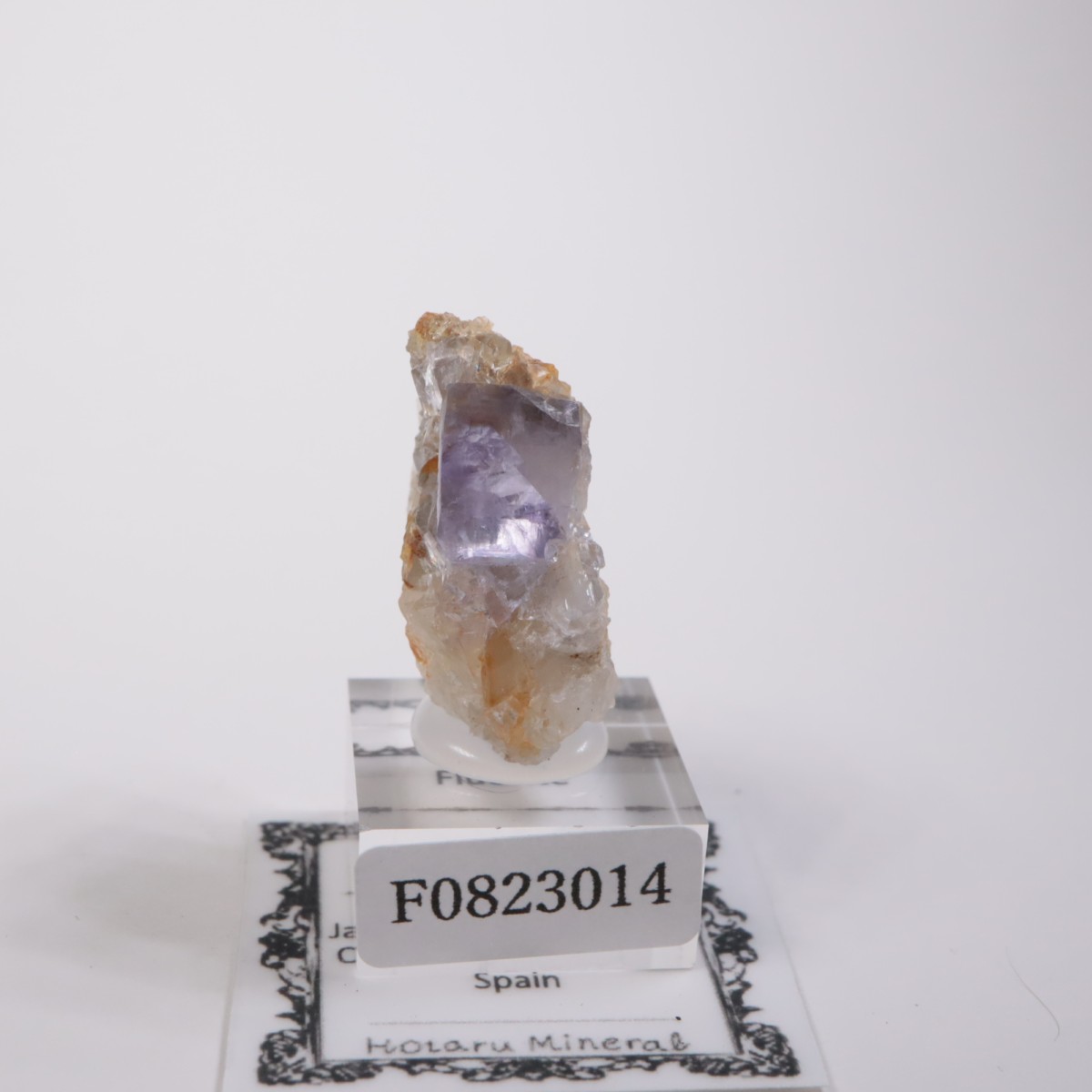 ���ڥ��� �ե����饤��