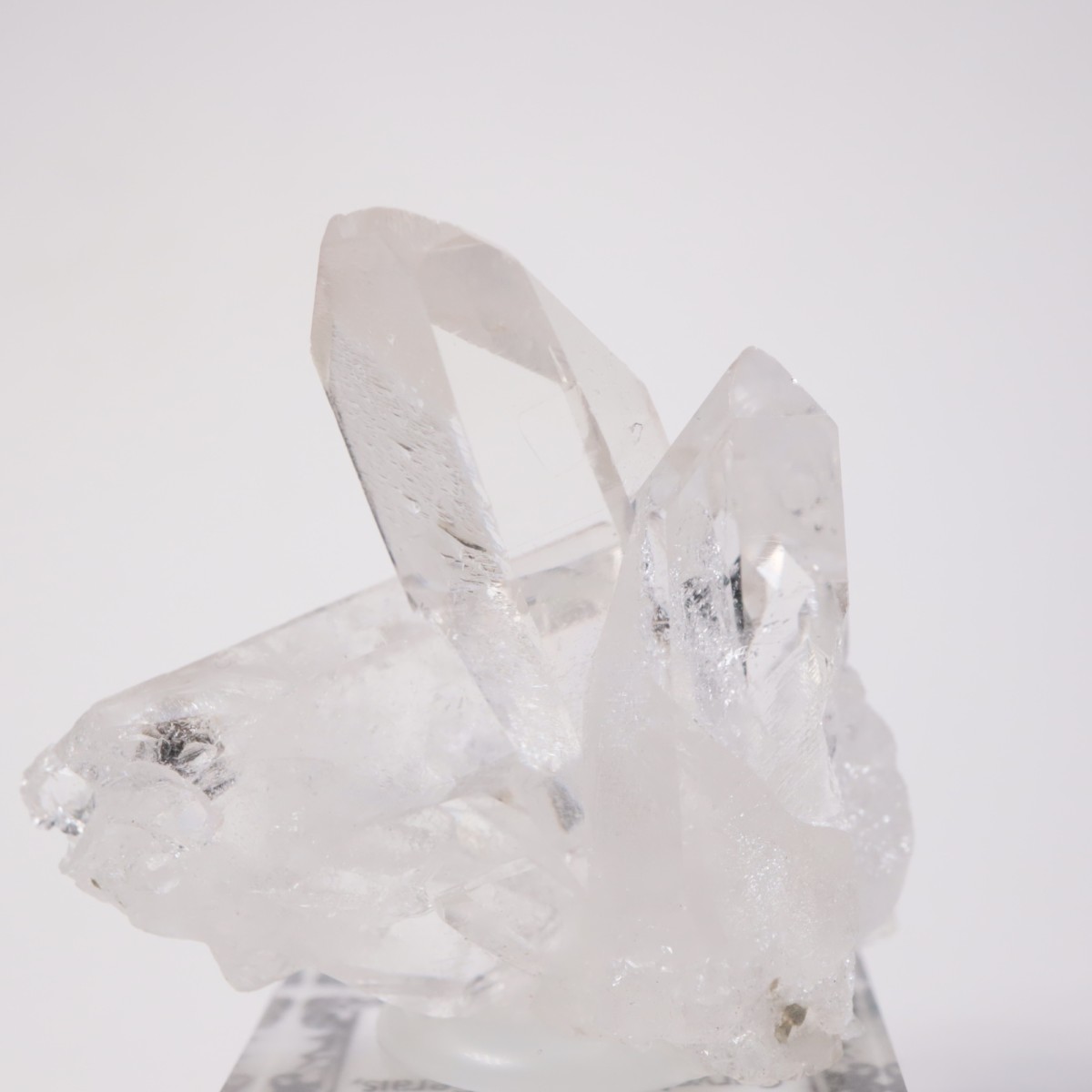 �ȥޥ����󥵥��� ��������